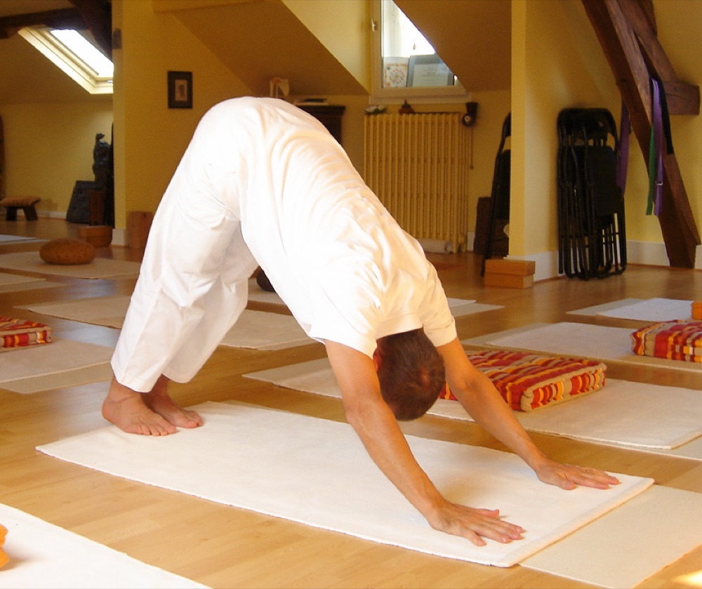 Downward Facing Dog (Adho Mukha Svanasana) yoga pose